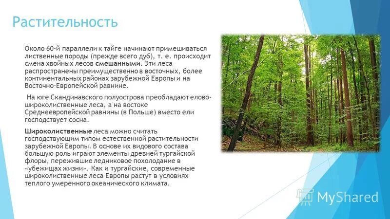 использование человеком широколиственных лесов