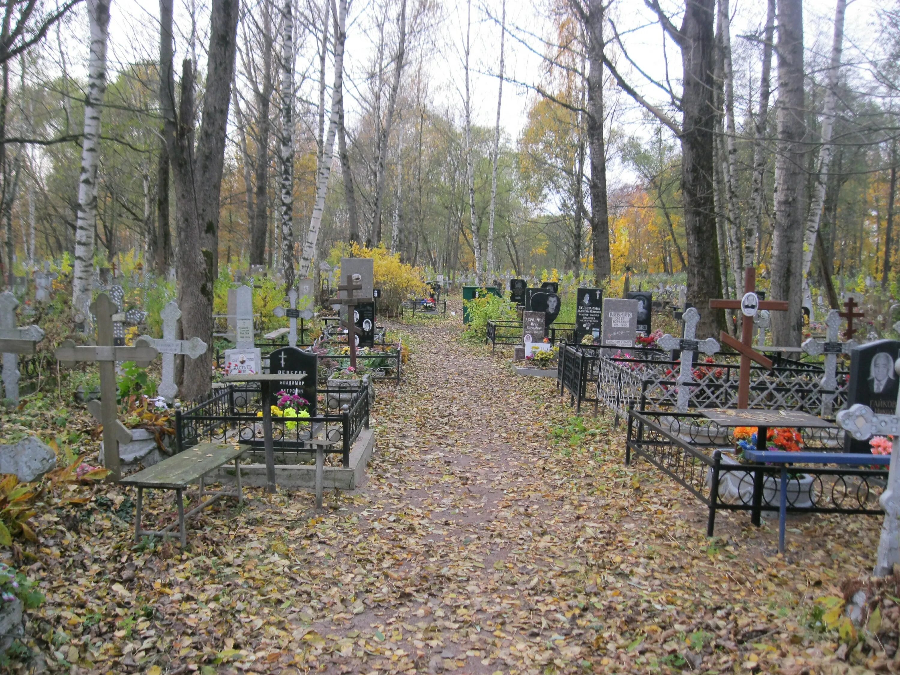 Сайт кладбищ спб. Стрельнинское кладбище Стрельна. Громовское кладбище в Санкт-Петербурге. Громовское кладбище СПБ. Кладбище песочное Санкт-Петербург Вагнер.