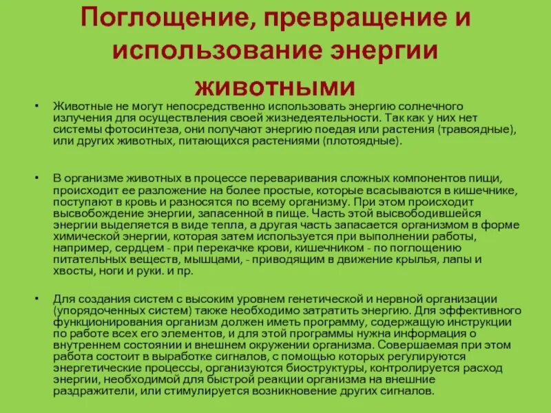 Использование энергии животных