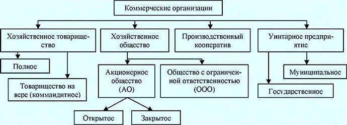 Коммерческое предприятие пример в россии Основные различия между коммерческими и некоммерческими организациями