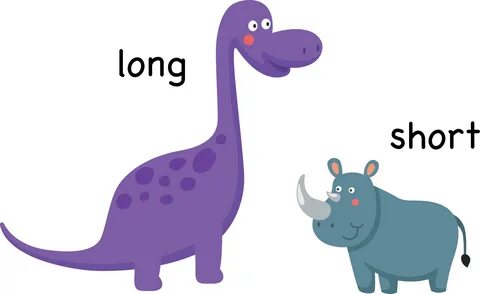 Long picture