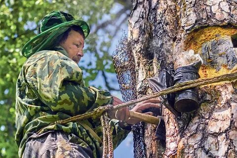 Бортничество