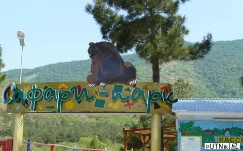 Сафари сочи