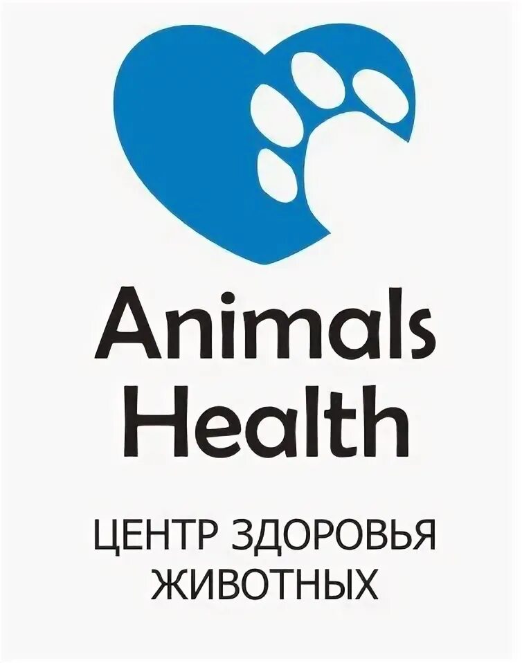 Экология животных. Здоровье животных вопросы. Здоровье животных вопросы. Здоровье животных вопросы. Здоровья всем животным.