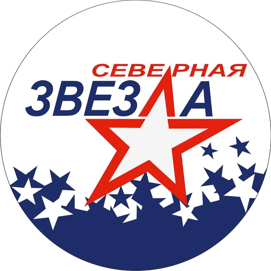 Хоккейная команда Северная звезда Нижний Новгород. Северная звезда хоккейный клуб Москва. Северная звезда логотип. Хк Северная звезда лого. Первая северная звезда