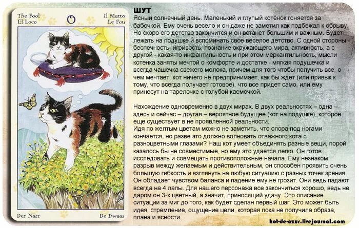 Таро коты значение. Трактовка карт таро языческих кошек. таро языческие кошки трактовка. кошачье таро. карта таро кошка значение.