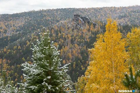 1 октября красноярск