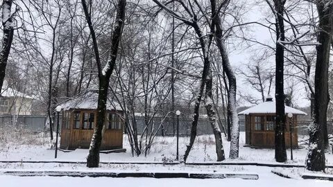 Лагуна хабаровск