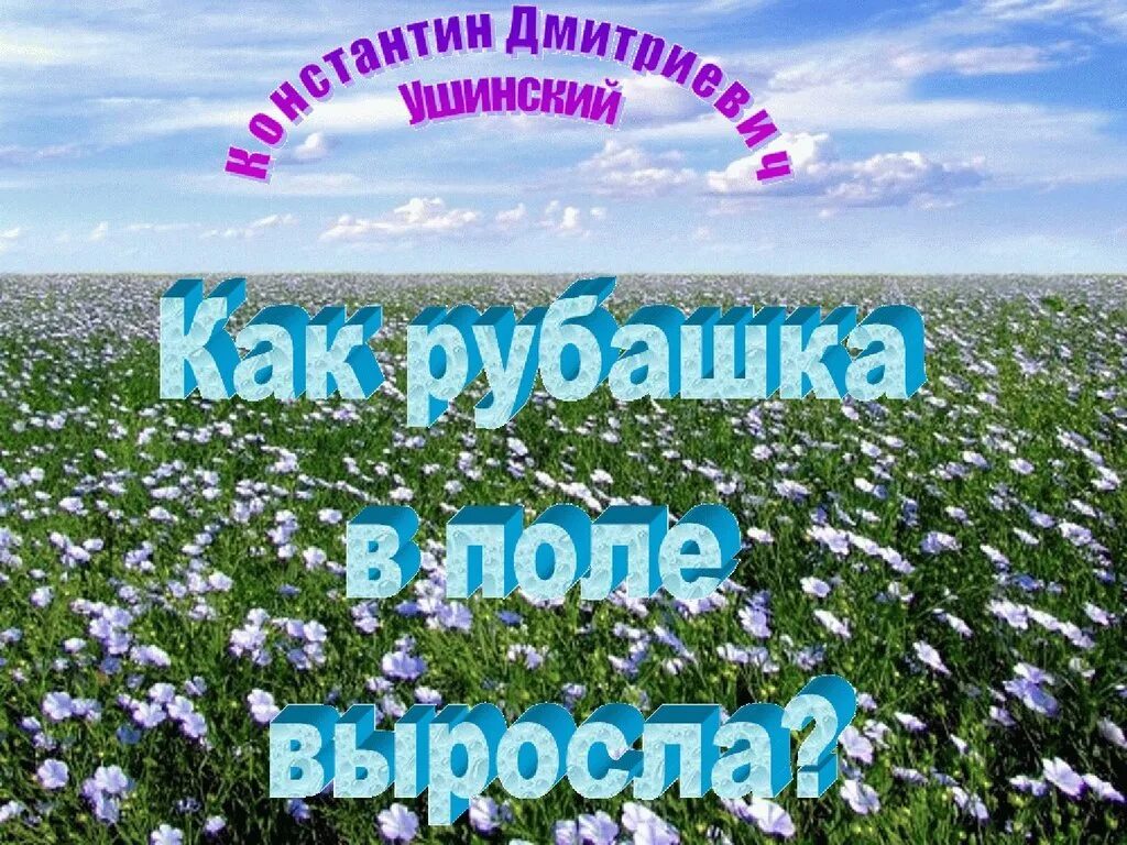 Как рубашка в поле выросла читать. Рубашка в поле выросла цветок. что выросло в поле презентация 1 класс гармония. как рубашка в поле выросла.