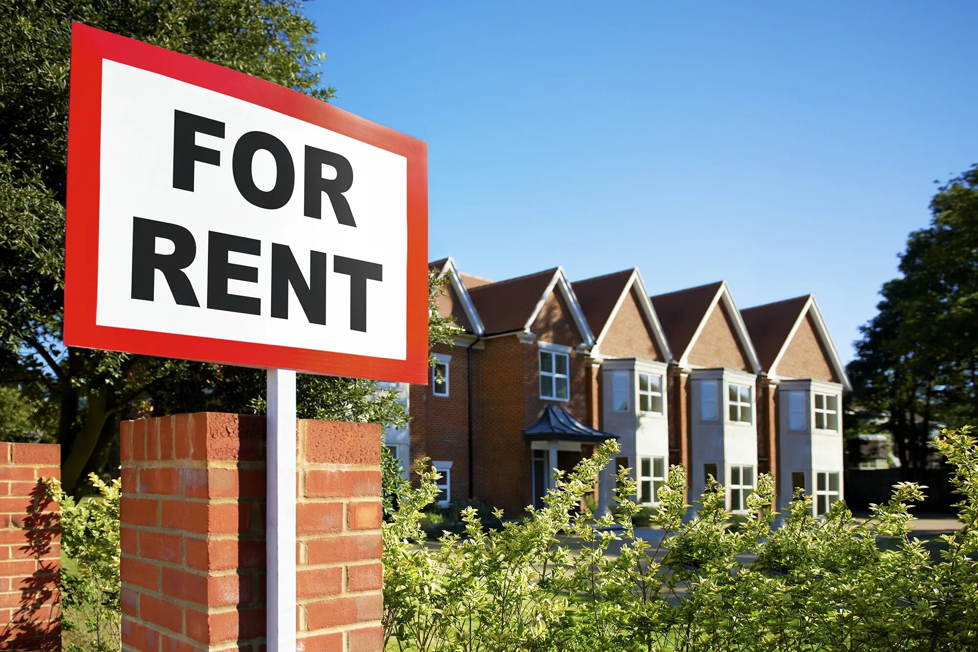 Жилье сша rent. Автопрокат автомобилей. Счастливые люди в машине. Rent rental. Автопрокат автомобилей.