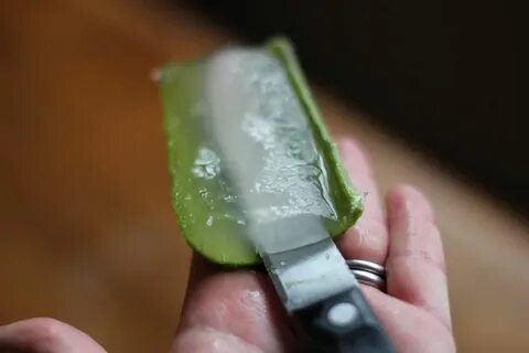 Сок алоэ можно замораживать