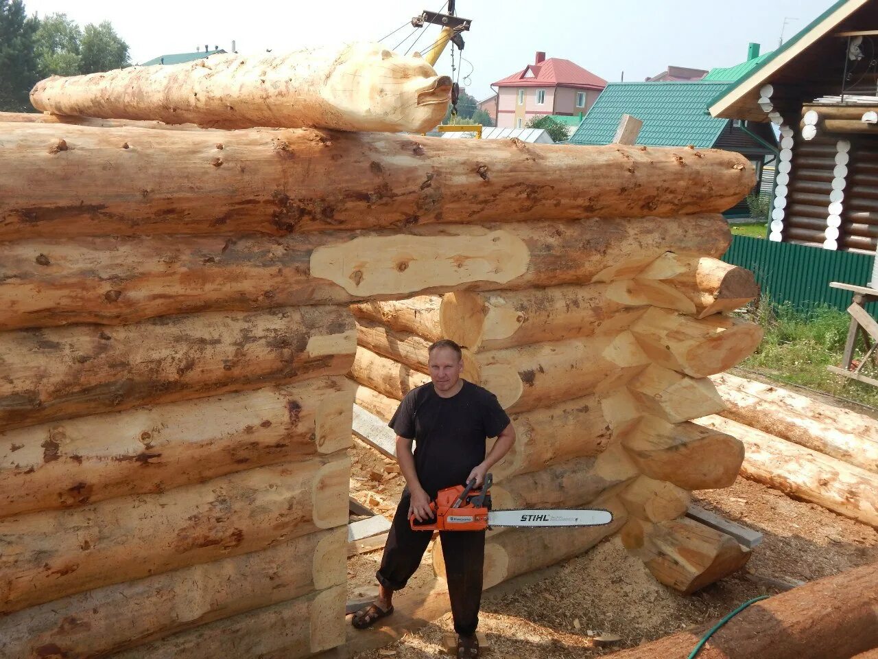 Бревна стоя. Диаметр бревна кедр. кедр 80 см диаметр бревна. толстое бревно. бревно в диаметре 500 мм.