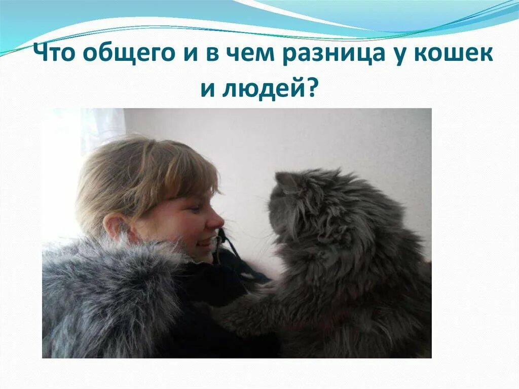 Иметь что то общее