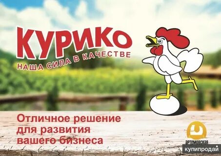 Курико