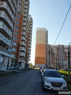 Красноармейском 16