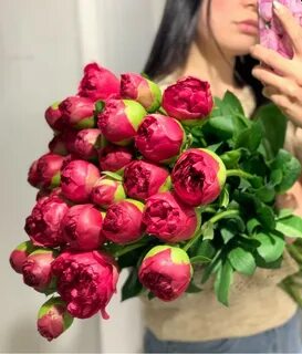 Пион перформанс