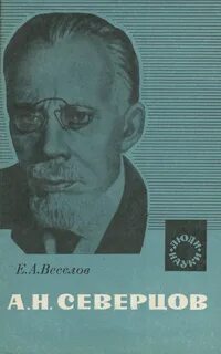 А н северцов