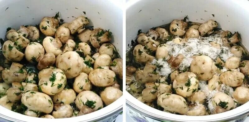 Что делают с шампиньонами на зиму