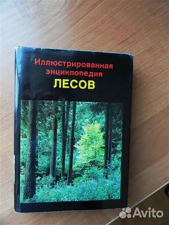 Лесная энциклопедия. Энциклопедия лесов. Энциклопедия в лесу. Взрослая энциклопедия про лес.