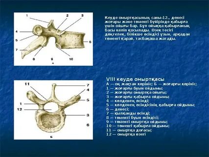 69 позициядағы егде жастағы адамдарға арналған үйдегі секс