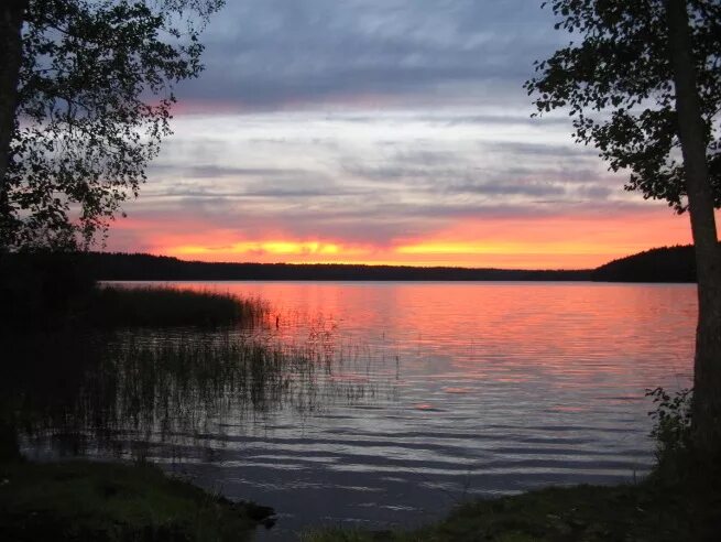 поселок лебедевка выборгский район. озеро лебединое выборгский район лебедевка. платформа лебедевка выборгский район. лебедевка выборгский район снт энергетик. лебединое озеро выборгский район на карте.