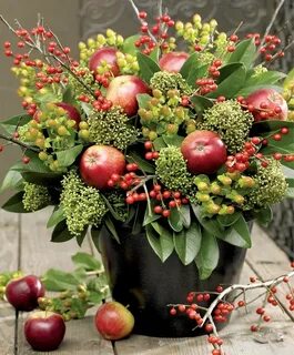 Arrange holidays