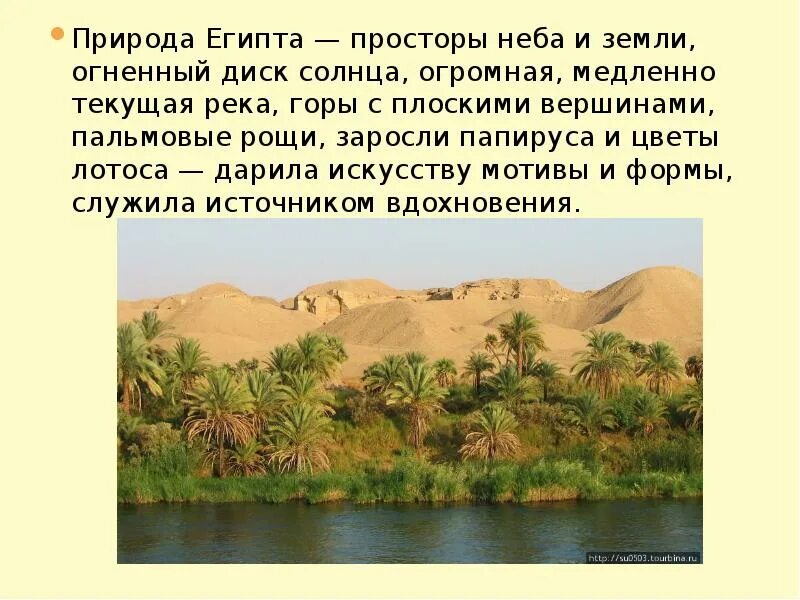 Природа египта 5