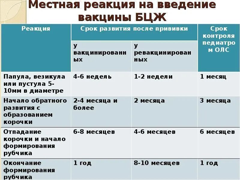 Картинки БЦЖ ПРИВИВКА ИНТЕРВАЛ