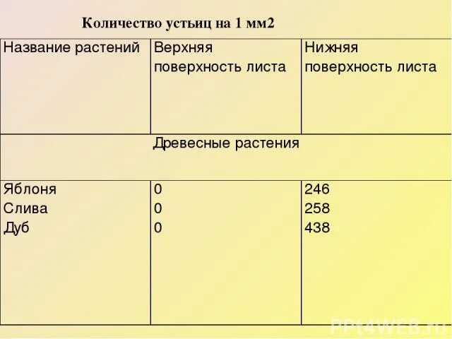 ЦАРСТВО РАСТЕНИЯ - ЕГЭ для VIP