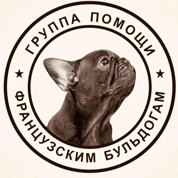 Помощь бульдогам. Группа помощи французским бульдогам. французский бульдог фото. французский бульдог прививки. ходунки для французского бульдога.
