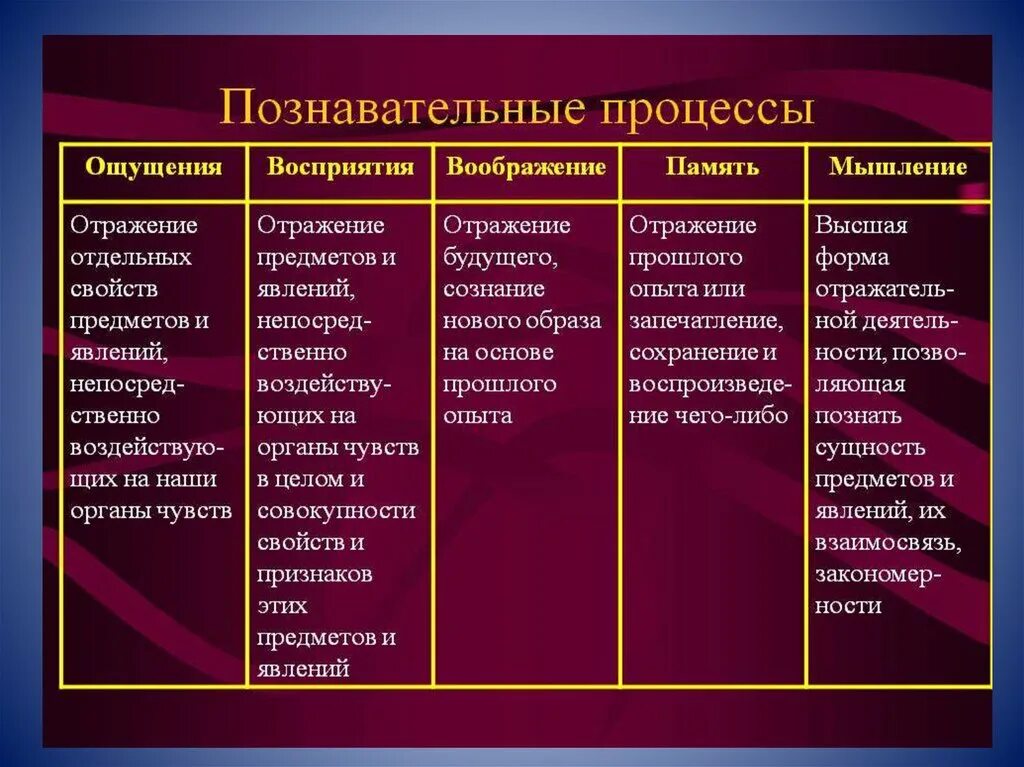 Познавательные процессы общей психологии