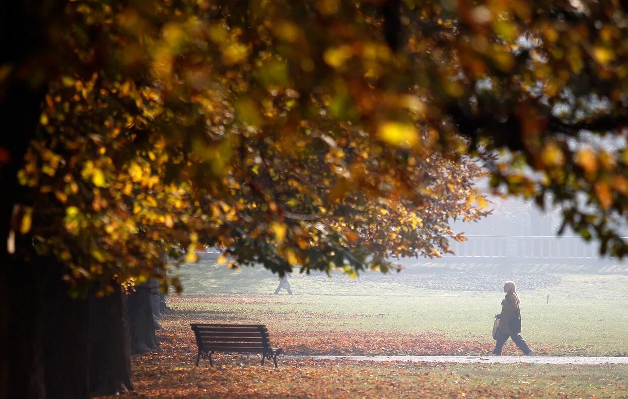 чем ближе осень тем. осенние статусы в картинках. осень листопад. холодная осень. осенний плед.
