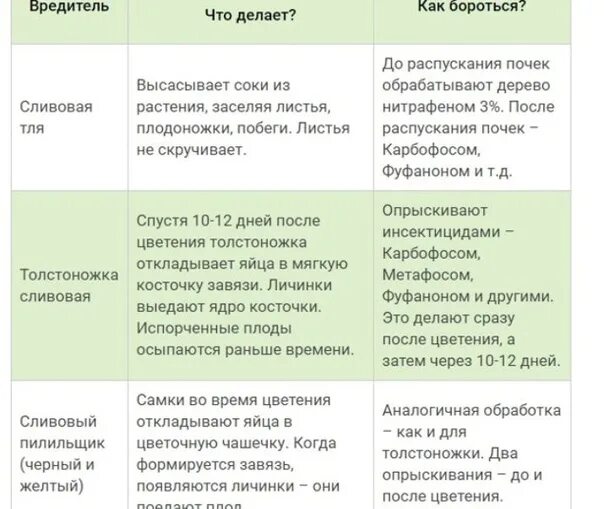 Таблица обработки персика. Обработка деревьев после цветения.