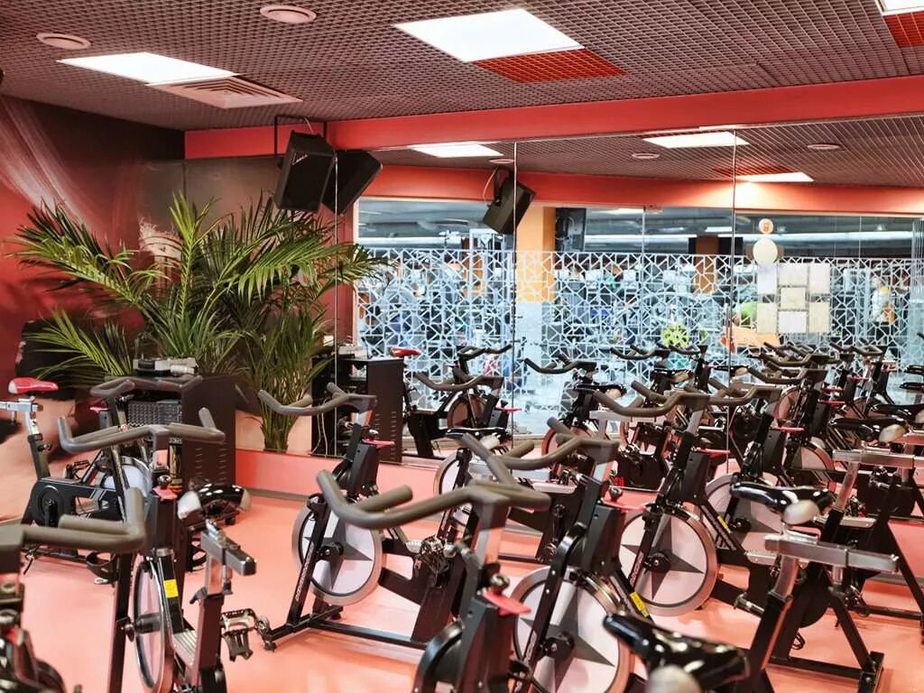 Зебра фитнес расписание. Фитнес клуб Зебра Перерва 43. Зебра Братиславская бум. Бум фитнес клуб Зебра Братиславская. Фитнес клуб Зебра в Марьино.