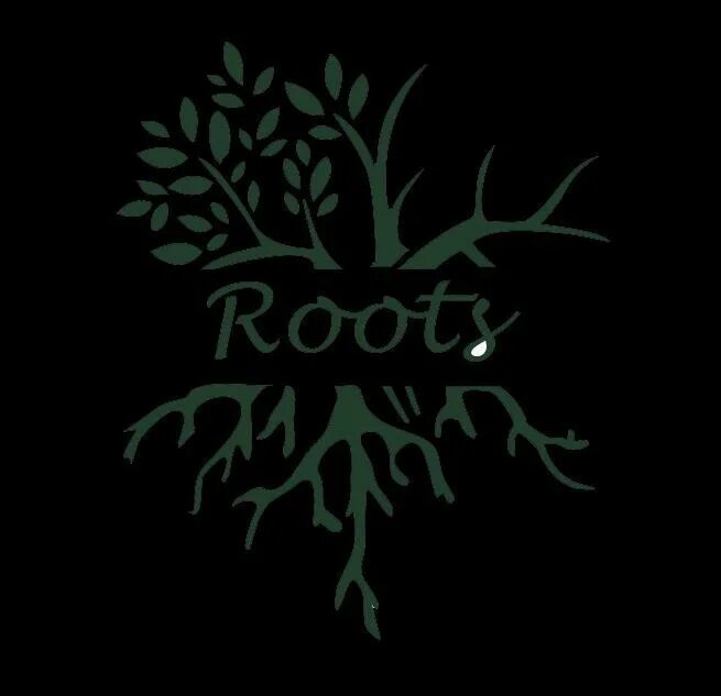 Скачу корень. Root компьютерная игра. Root ава. Roots Bloody roots картинка прикол. "Wayne root".