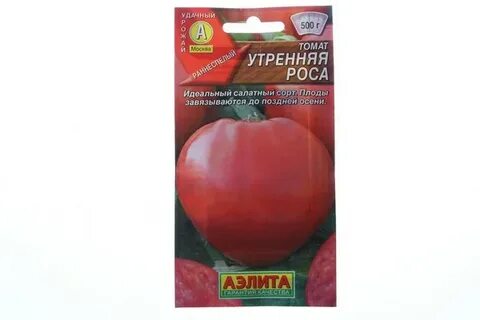 Помидоры утренняя роса
