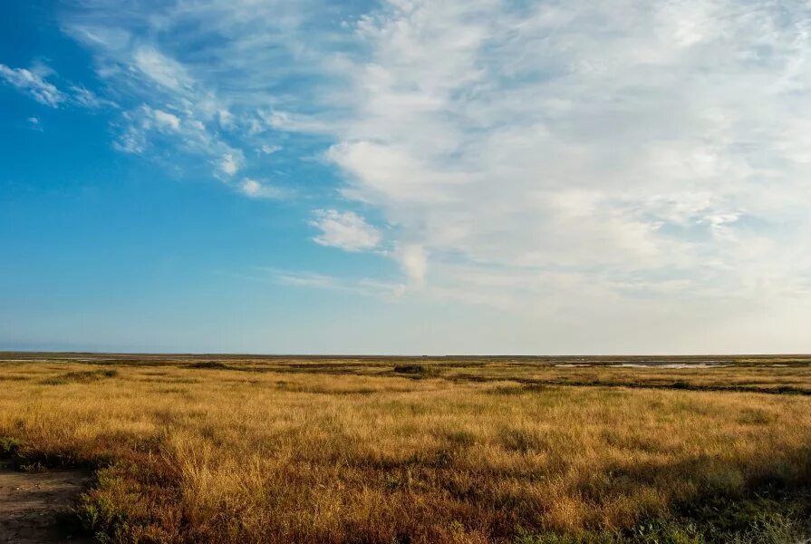 поле пустырь. поле пустырь. большой пустырь. картинка природа пустырь. песчаный пустырь.