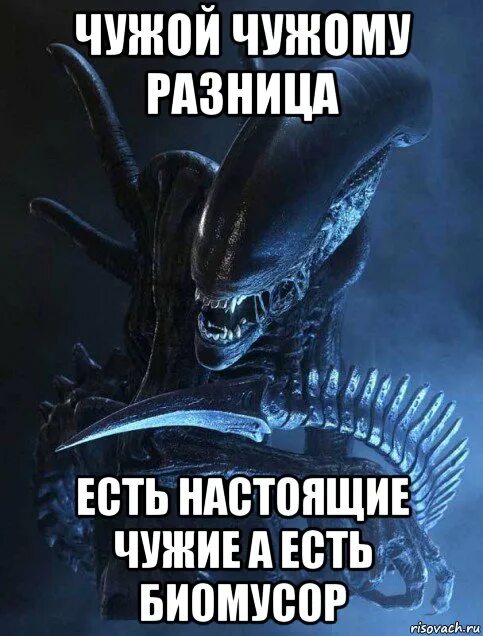 Как принять бывшую чужой. Родной чужой. чужой приколы. я чужой.