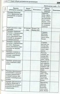 Программа аудита является
