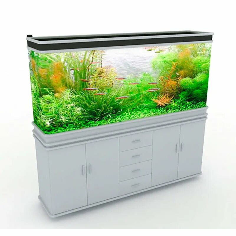 Аквариум 3ds Max. Aquarium 3ds Max[. 3ddd аквариум. Аквариум 3d модель. Aquarium 3