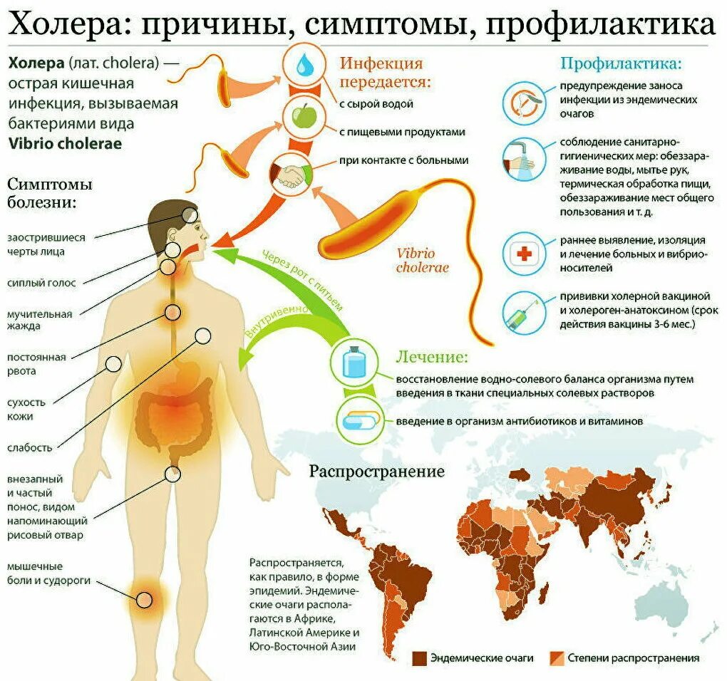 Какой болезнью можно заболеть