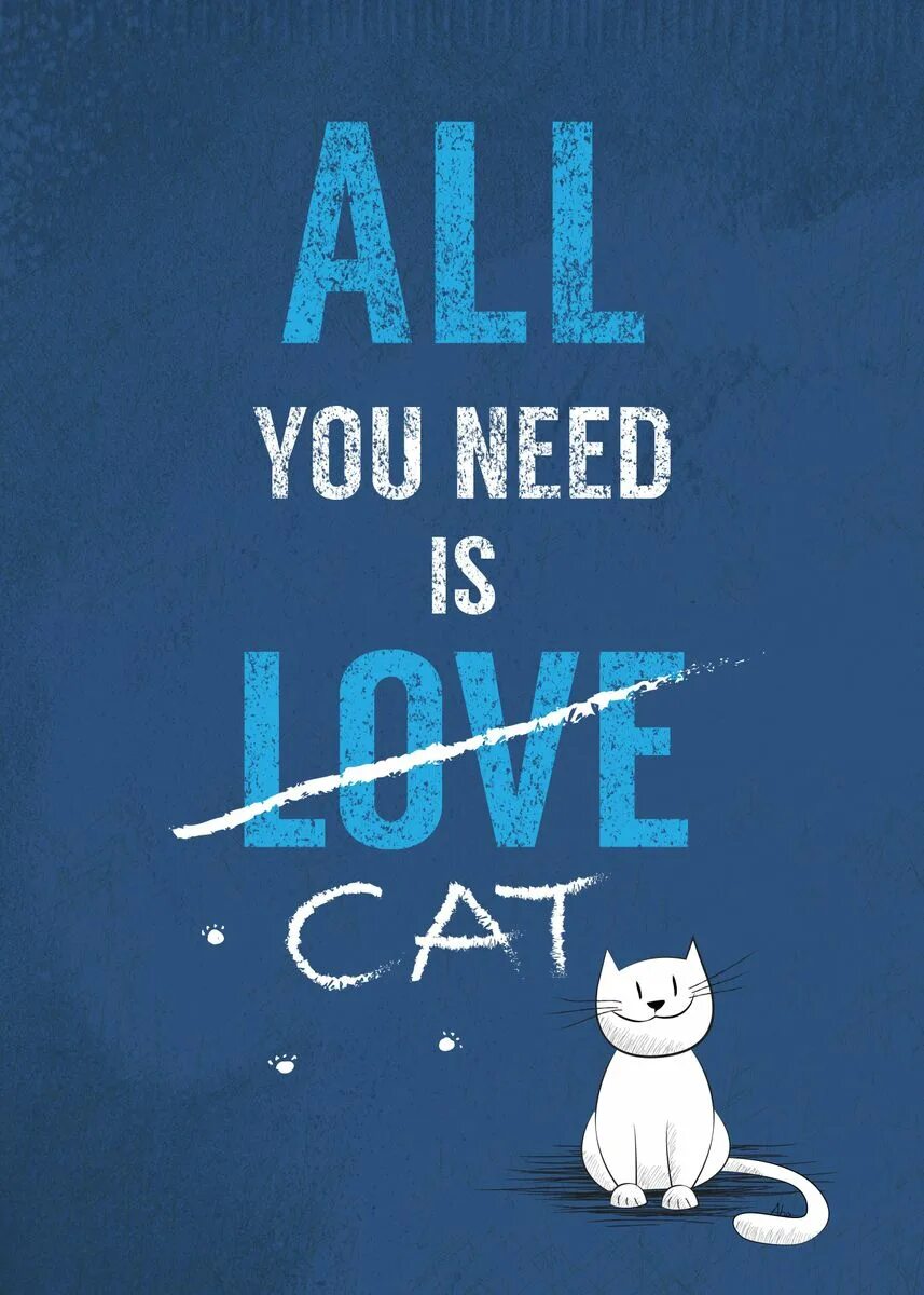 All you need is time. All you need. постеры с кошками. all you need is cat. all you need is love and a cat.