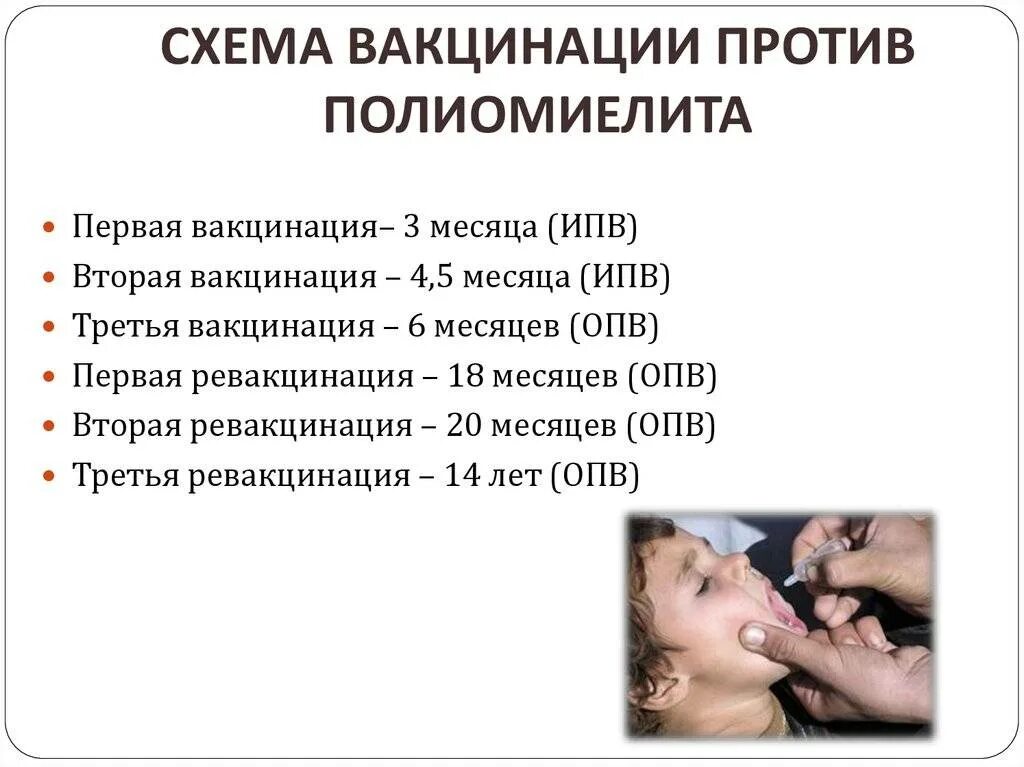 Полиомиелит схема вакцинации. Вакцинация полиомиелит схема вакцинации. Ревакцинация от полиомиелита в 3 года. Когда ставится прививка от полиомиелита детям. Полиомиелит прививка заразна