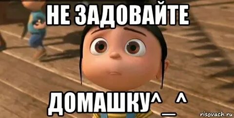 Новинки домашки