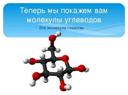 Строение молекулы углеводов биология