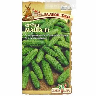 Огурцы семена алтая лучшие сорта