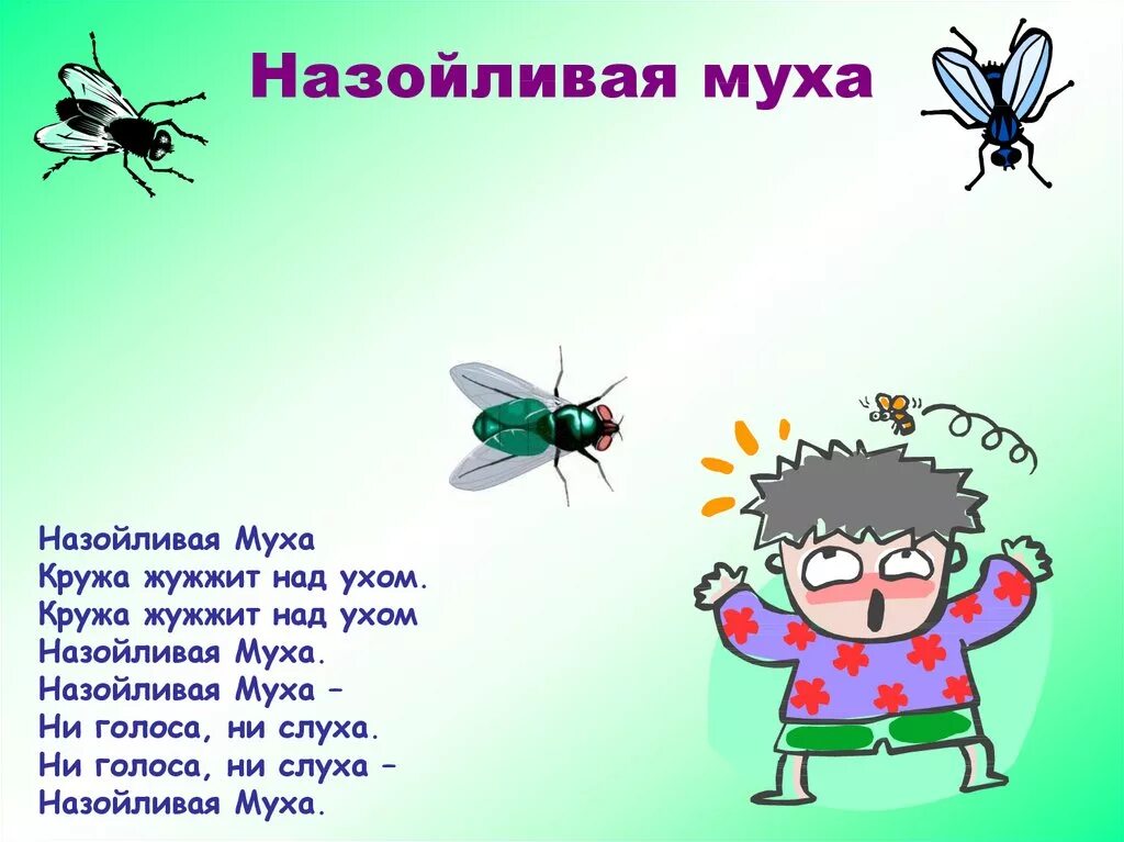 Детям про муху. Назойливая Муха. Стишок про муху. Стих Муха. Стишок про муху для детей.