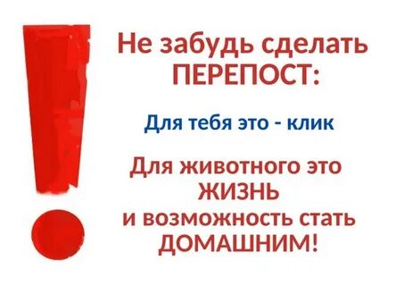 Стала все забывать что делать