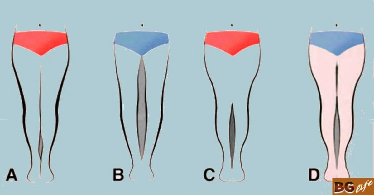 какая нога у женщин больше. красивая форма ног. типы строения ног. замеры тела женщины. нормальная форма ног.