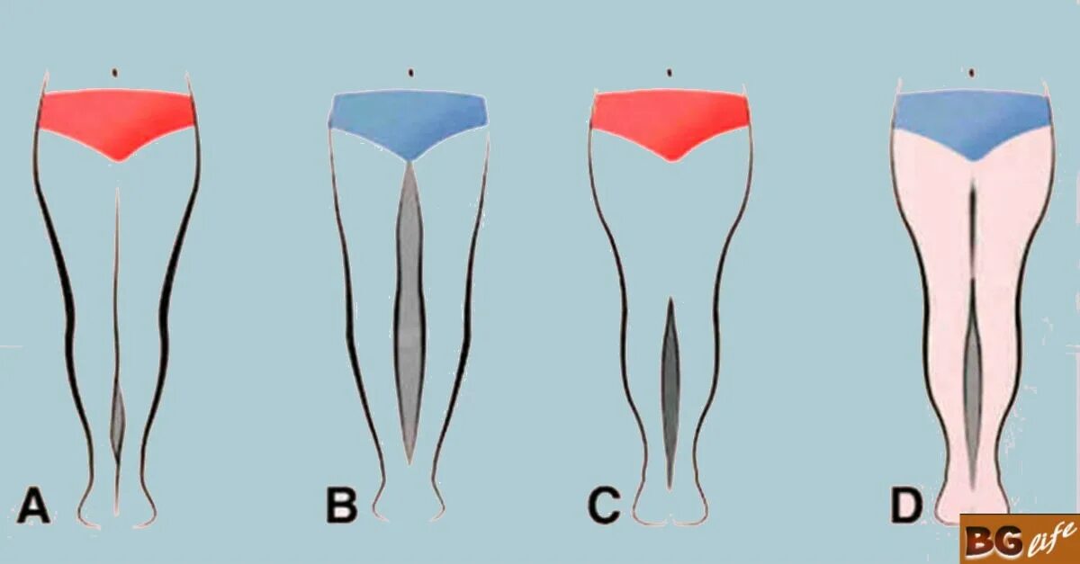 О чем говорят ноги женщины. Разные формы ног. Идеальная форма ног. Типы формы ног у женщин. Красивая форма ног.